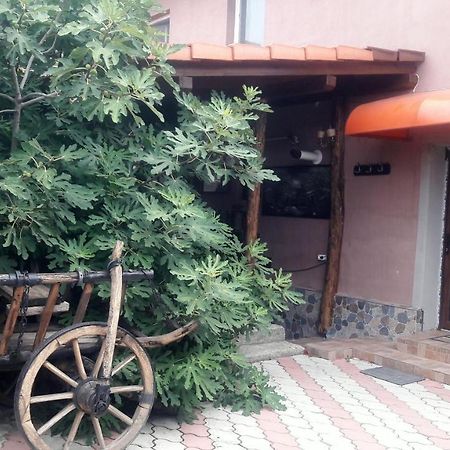 Arad Apartment - Airport Area Екстериор снимка